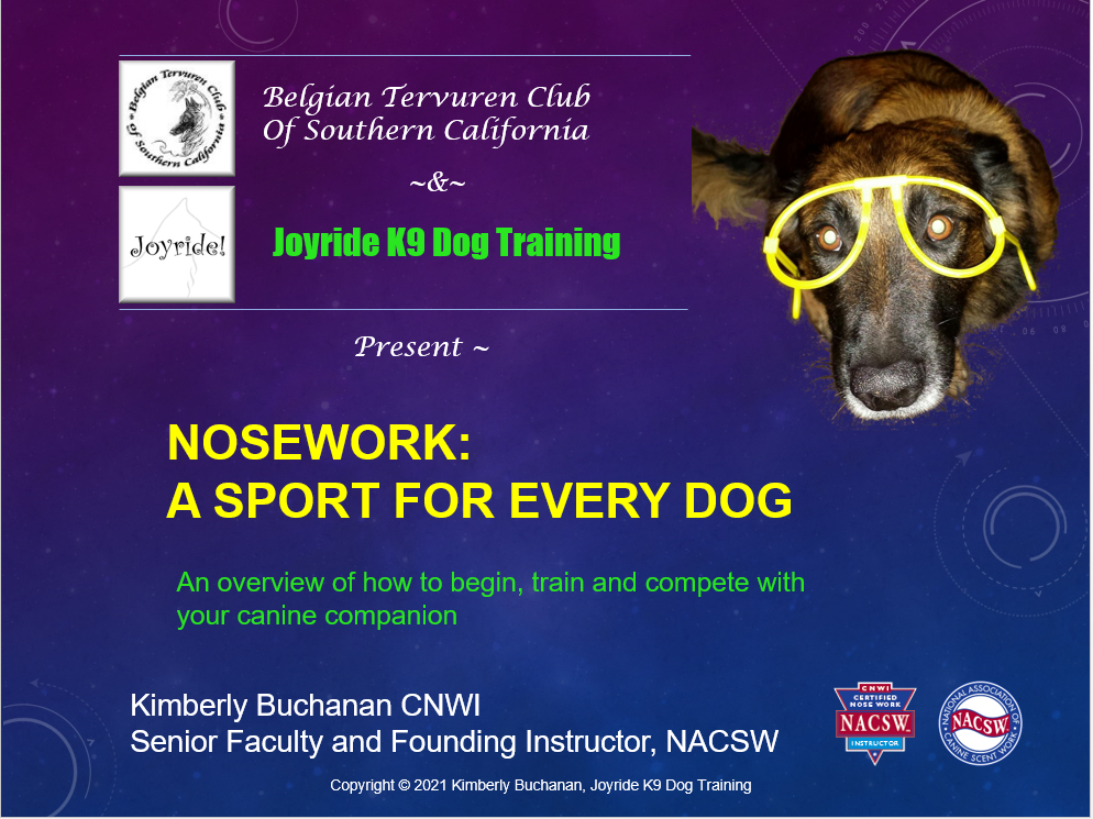 NOSEWORK: A SPORT FOR EVERY DOG
